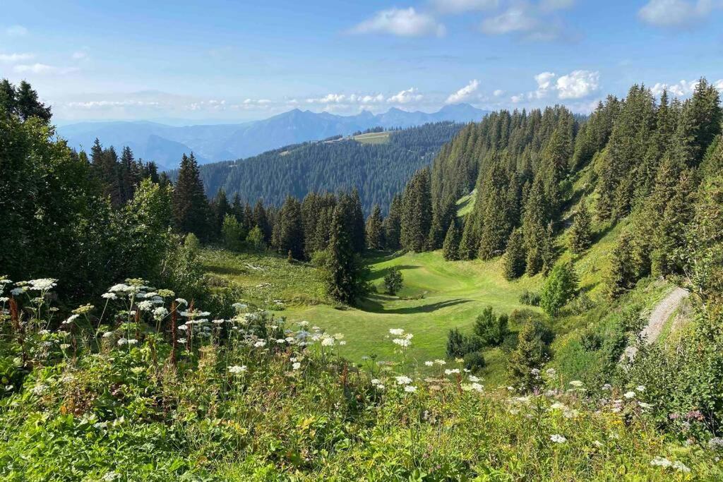 Vue Panoramique Sur Les Montagnes Plein Sud - T2 Skis Aux Pieds, Piscine & Spa Flaine Kültér fotó